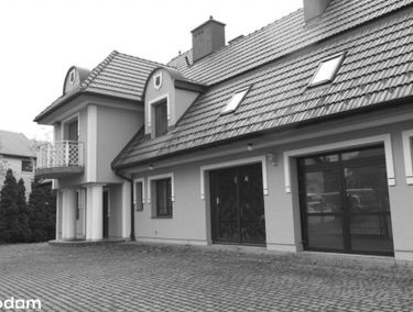 Zdjęcie 15390856