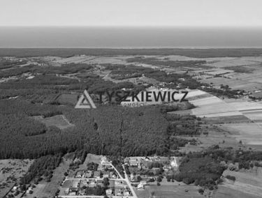 Zdjęcie 15391105