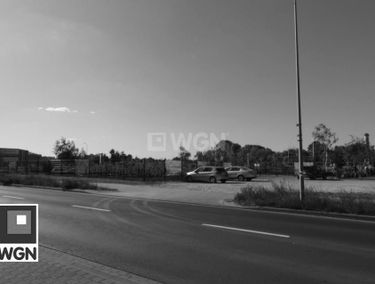 Zdjęcie 15391152