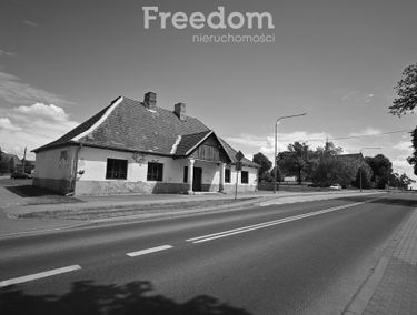 Zdjęcie 15391848