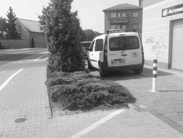 Zdjęcie 15392246