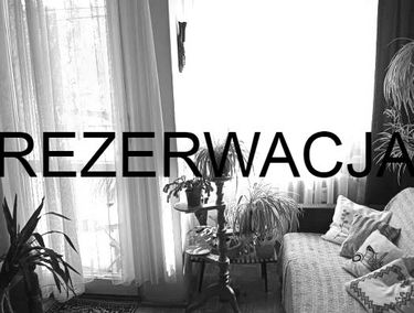 Zdjęcie 15392580