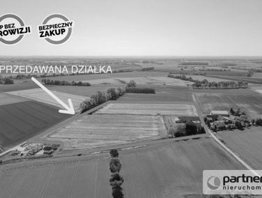 Zdjęcie 15392812