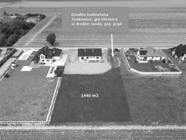 Zdjęcie 15393343