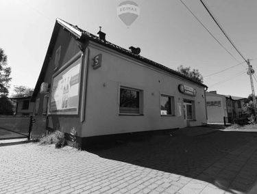 Zdjęcie 15393382