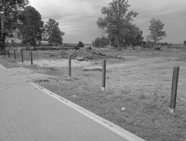 Zdjęcie 15396292
