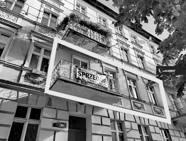 Zdjęcie 15396576