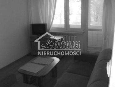 Zdjęcie 15396620