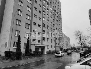 Zdjęcie 15397037