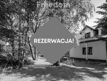 Zdjęcie 15397351