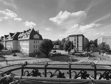 Zdjęcie 15397436