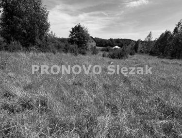 Zdjęcie 15397804