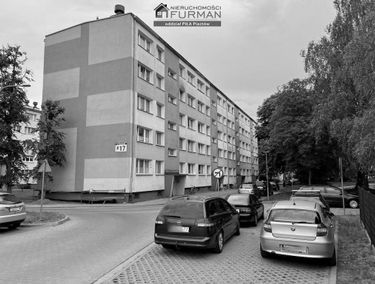 Zdjęcie 15398179