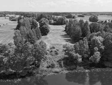 Zdjęcie 15398255