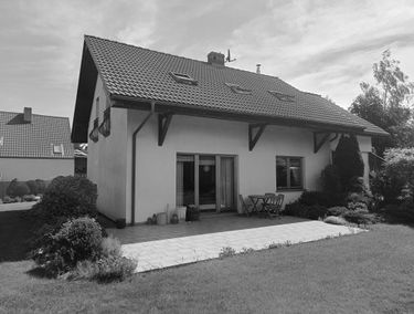 Zdjęcie 15398278