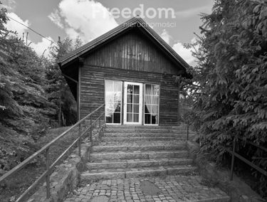 Zdjęcie 15398342