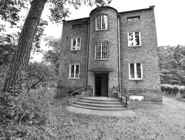 Zdjęcie 15398632