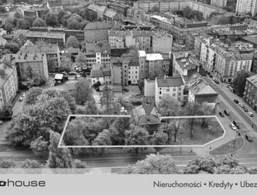 Zdjęcie 15398965