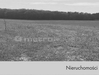 Zdjęcie 15399040