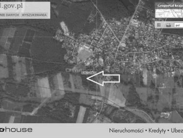 Zdjęcie 15399077