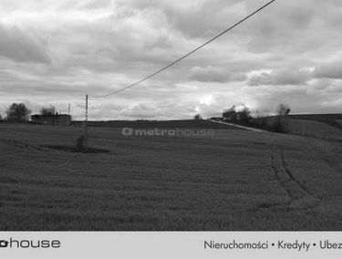 Zdjęcie 15399107