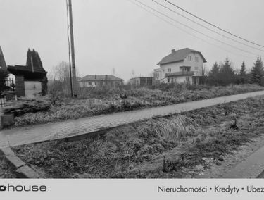 Zdjęcie 15399115