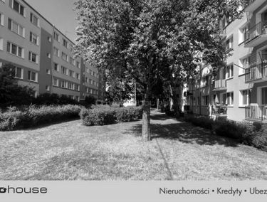 Zdjęcie 15399404