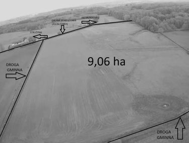 Zdjęcie 15400379