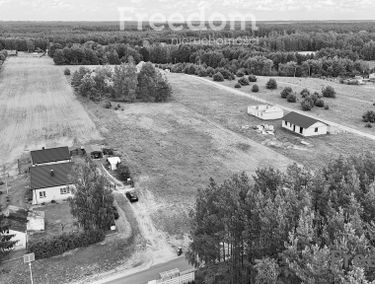 Zdjęcie 15400544
