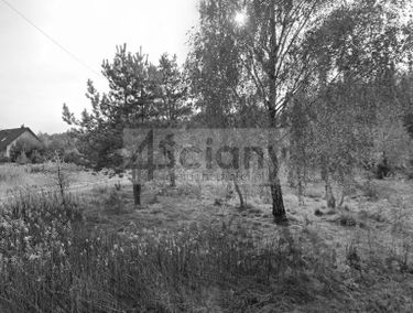 Zdjęcie 15401595