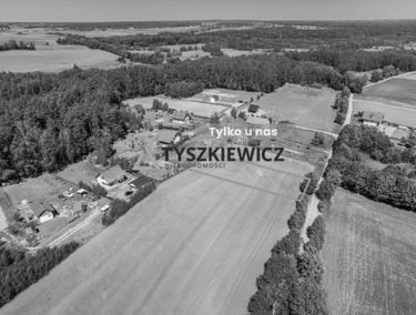 Zdjęcie 15401597