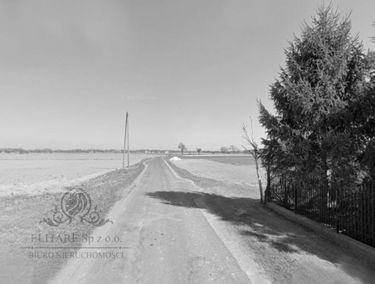 Zdjęcie 15401865
