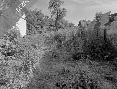 Zdjęcie 15401945