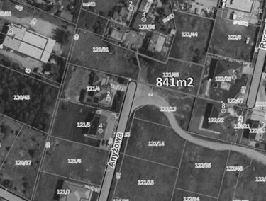 Zdjęcie 15401987