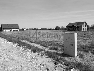 Zdjęcie 15404352