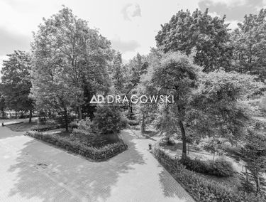 Zdjęcie 15404673
