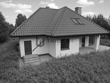 Zdjęcie 15405299