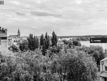 Zdjęcie 15405373