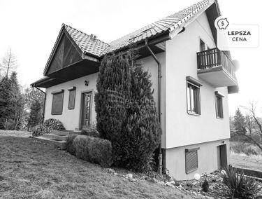 Zdjęcie 15405807
