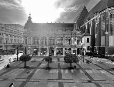 Zdjęcie 15407480