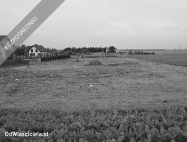 Zdjęcie 15407627