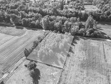 Zdjęcie 15408058