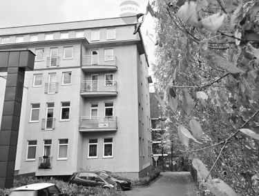 Zdjęcie 15408167