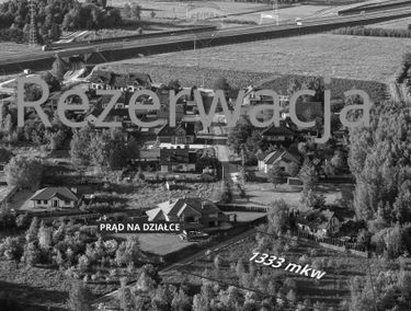 Zdjęcie 15408420