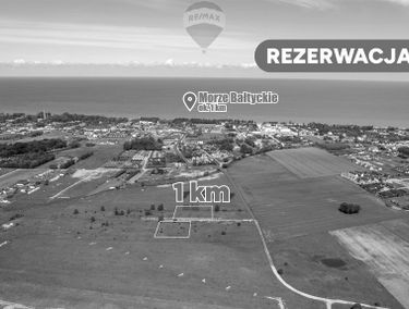 Zdjęcie 15409018