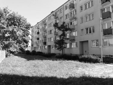 Zdjęcie 15409360