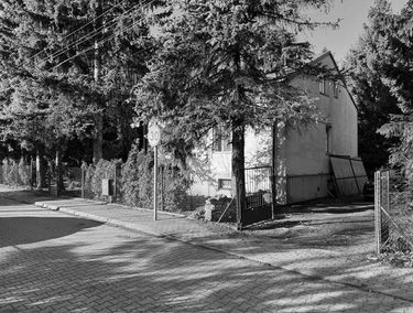 Zdjęcie 15409711
