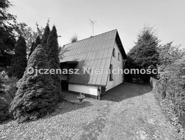 Zdjęcie 15411071
