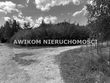 Zdjęcie 15411210