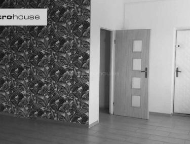 Zdjęcie 15412542